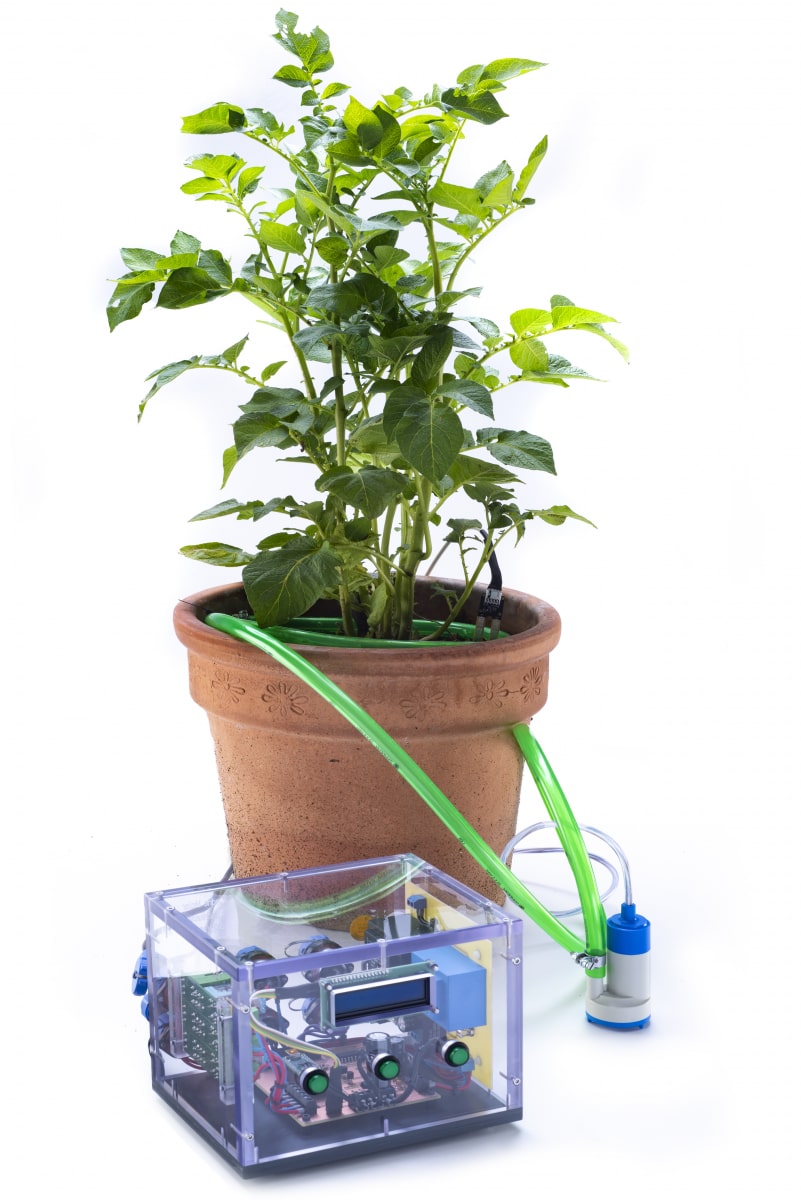 Intelligente Pflanzenbewässerungsanlage von Cedric Maier (6. Platz)