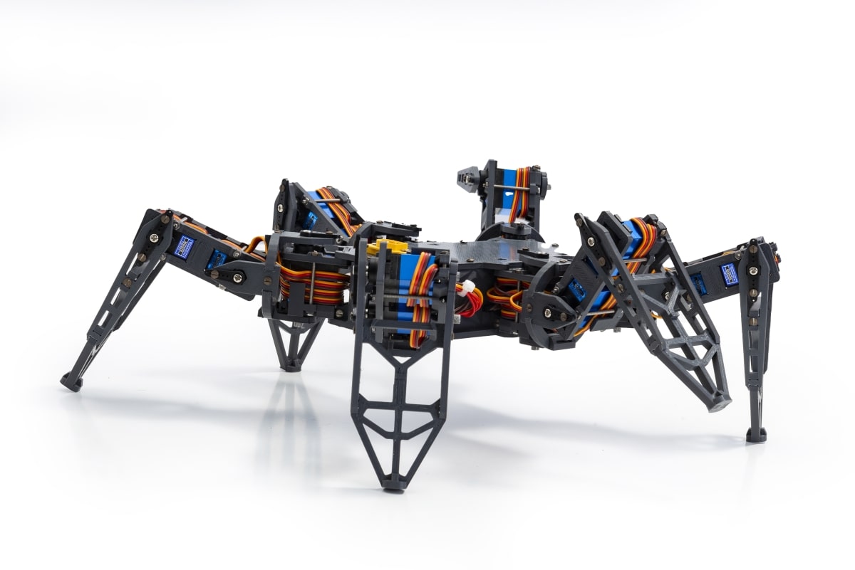 David Zepf, Systemelektroniker, Hexabot / Spiderbot